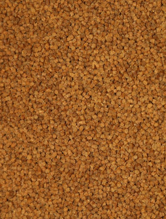 Low Oil & High Betaine Carp Pellets, Bulk Orders Available (2.33