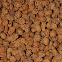 Large Tiger Nuts